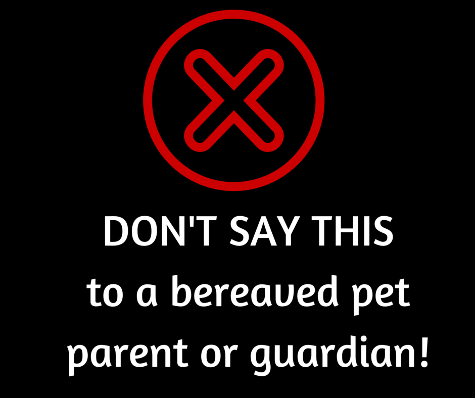 3-things-not-to-say-to-someone-whose-pet-has-died