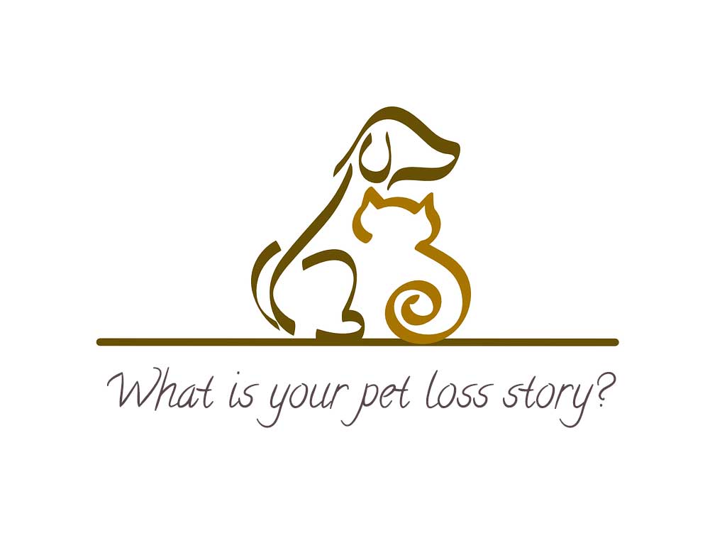 pet loss story
