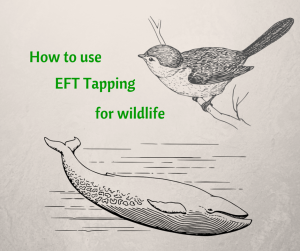 EFT tapping for wildlife