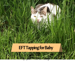 EFT for cats