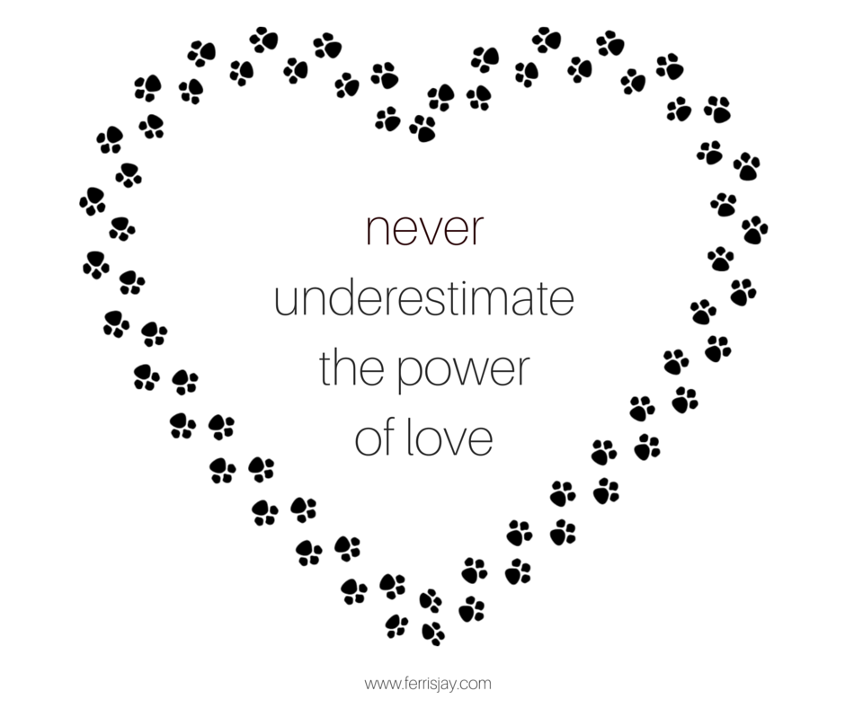 the power of love