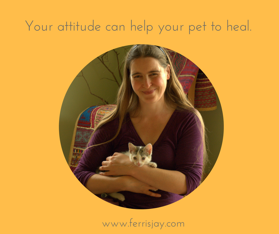 your attitude affects your pets