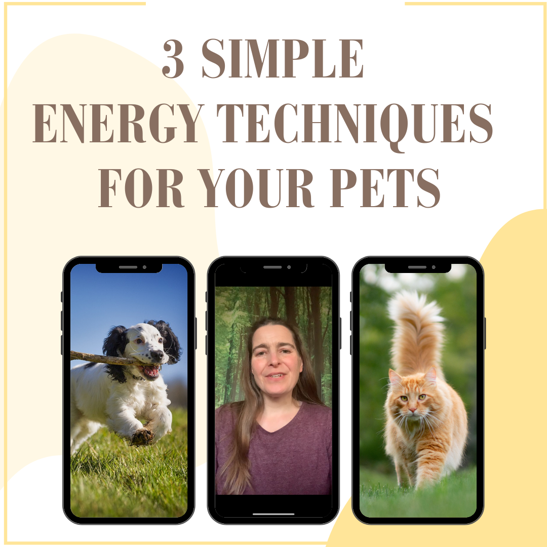 Heal your pet with 3 simple energy techniques
